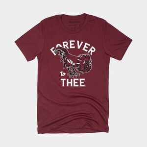 Homefield Retro “Forever to Thee” South Carolina Tee | Garnet | Unisex Medium